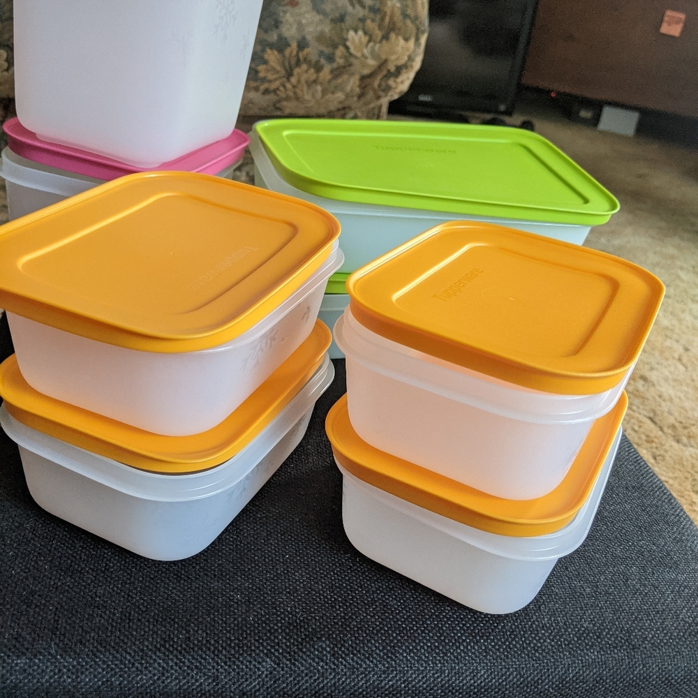 Tupperware freezer mates